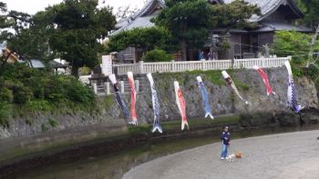 忙しくも季節は流れ