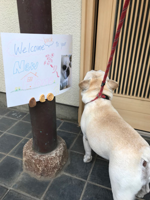 プーリーの新居だよ