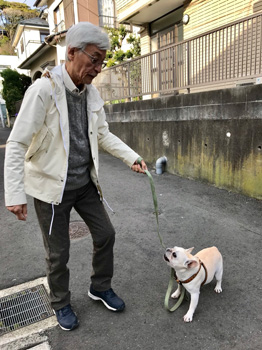 新しい「聖家族」